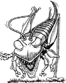Mormon cricket drawing