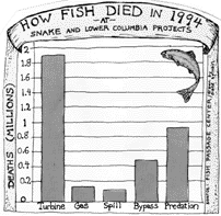 Chart on how fish died in 1994