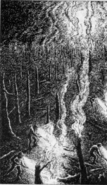 Illustration of burnt forest/Mark Coyle