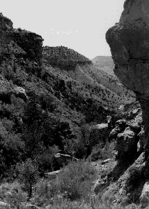 Western Colorado's Demaree Canyon