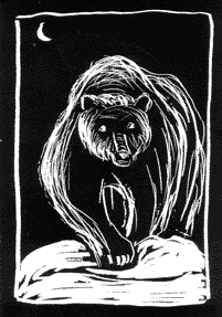 Illustration of grizzly