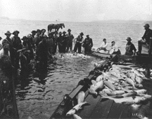Salmon fishing, circa 1910