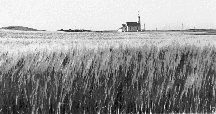 Expansive: Prairie Church near McVille, North
Dakota