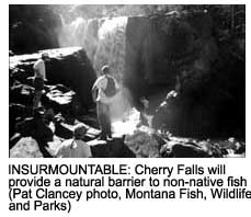 Cherry Falls