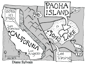 Paoha Island in Mono Lake