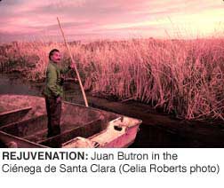 REJUVENATION: Juan Butron in Cienaga de Santa
Clara