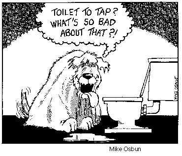 Cartoon: Toilet to tap and drinking dog