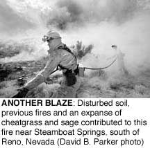 Firefighter works on blaze near Steamboat Springs,
Nev.