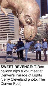 SWEET REVENGE: T-Rex balloon nips a volunteer at Denver's
Parade of Lights