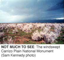 NOT MUCH TO SEE: The windswept Carrizo Plain National
Monument