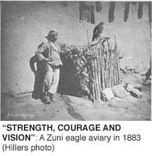 "STRENGTH, COURAGE AND VISION": A Zuni eagle aviary in
1883
