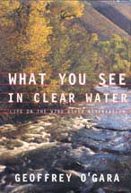 Cover of "What You See in Clear Water"