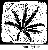 Marijuana or hemp leaf illustration