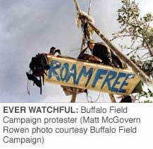 EVER WATCHFUL: Buffalo Field Campaign protester