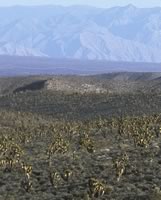 The Tule Desert, home to the proposed Toquop power plant
and a 13,000-acre sell-off of federal land
