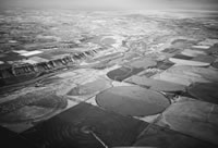 Pivot irrigation in Owyhee County along the Snake
River