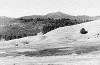 Part of the Hilt townsite today
