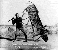 Photo illustration of Super Hopper