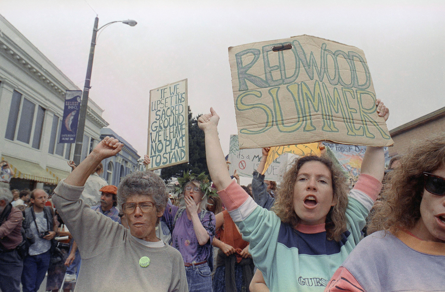 The lessons of Redwood Summer, thirty years later - High Country News, image size:1500x985