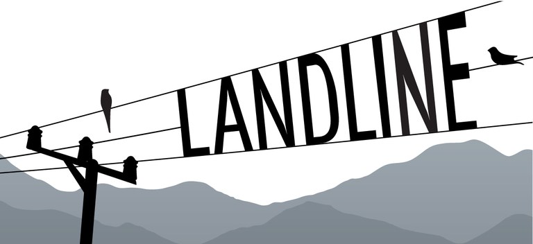 Landline logo image