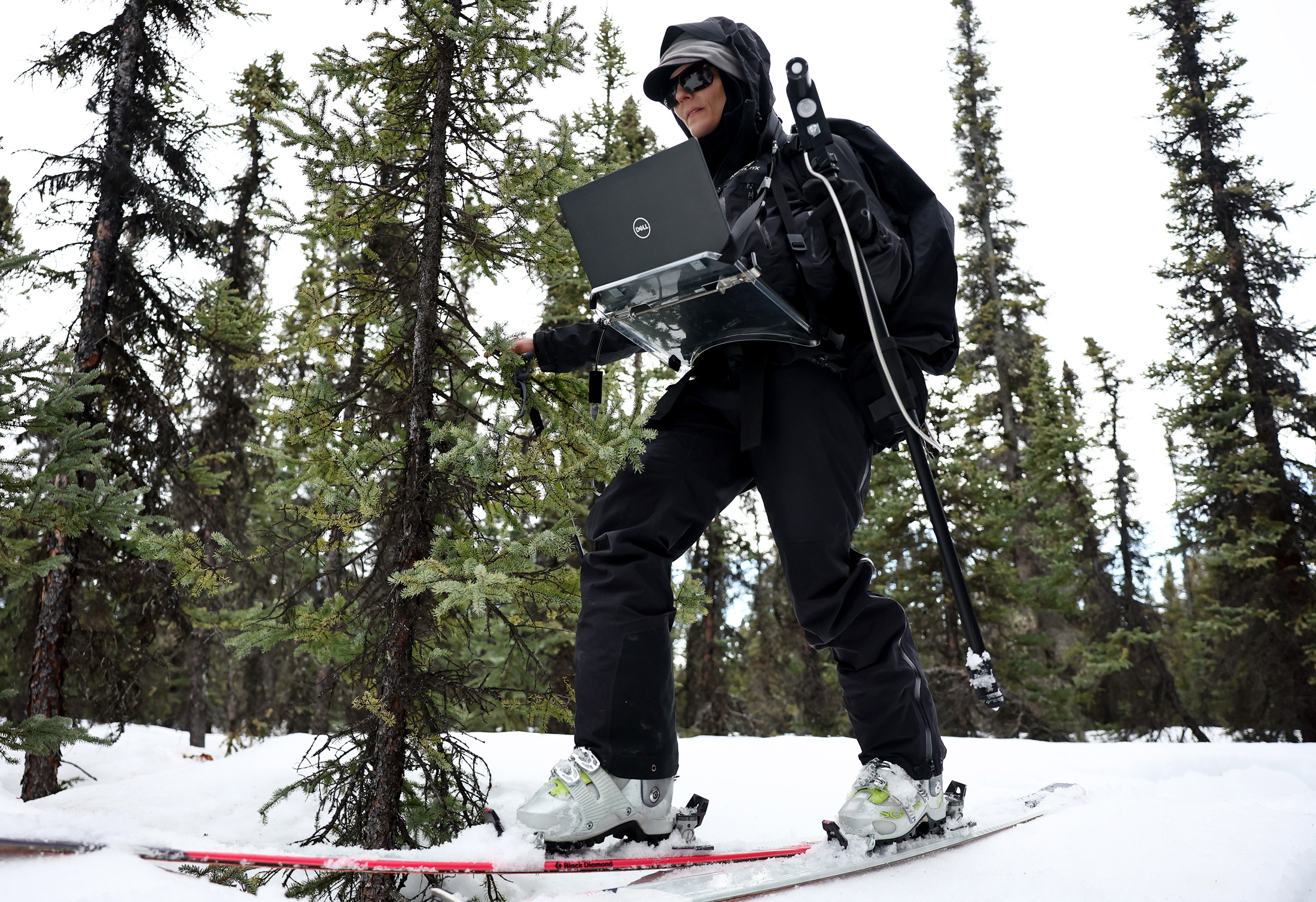 Congress passes environmental funding without Trump's deep cuts - High Country News