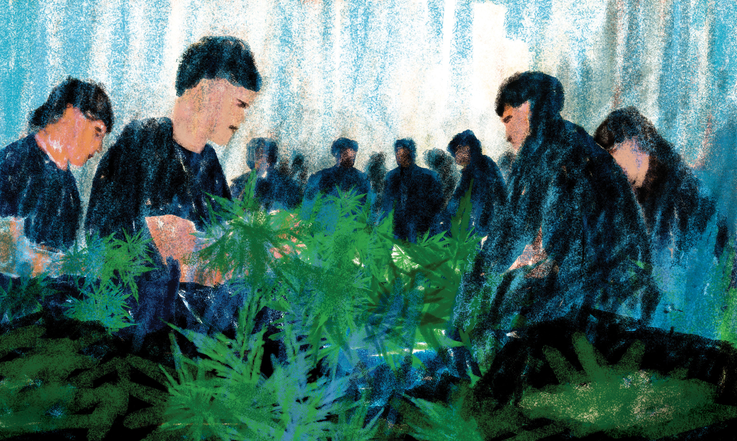 The Chinese immigrants trafficked on New Mexico’s weed farms