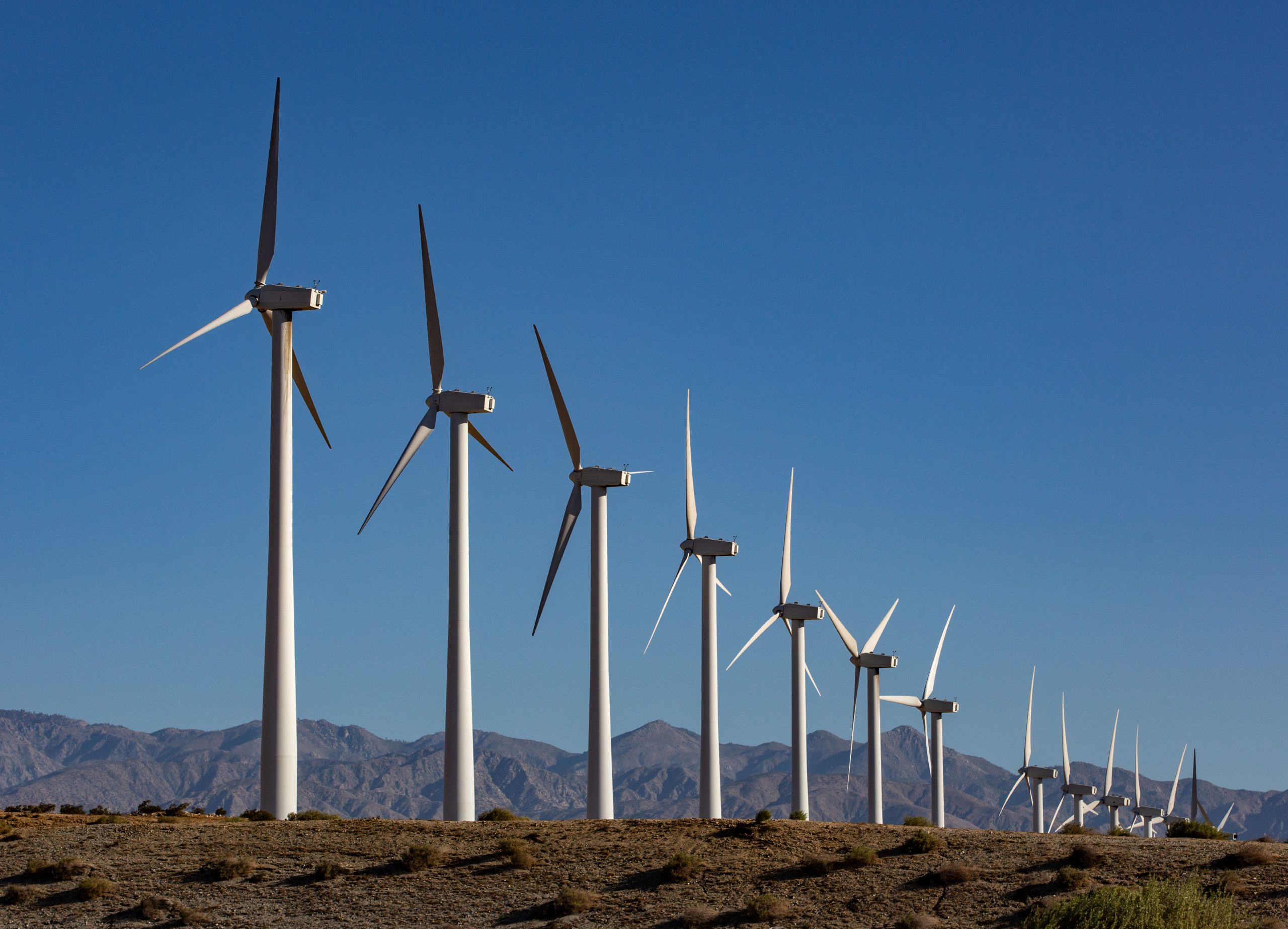 An array of electricity producing wind turbines (aka the San Gorgonio Pass wind farm) are viewed along Interstate 10 near Palm Springs, California, in 2022.