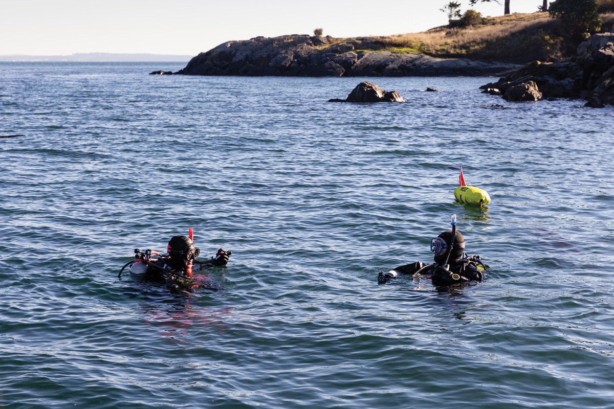 De La Cruz and Donahue in the water during their dive to replace the data.