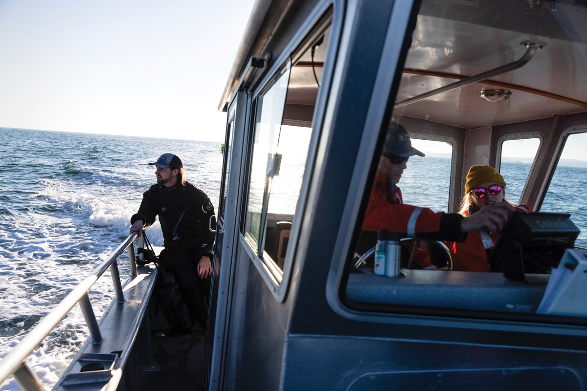 Charlie Donahue looks out at the Salish Sea during an October bull kelp research outing.